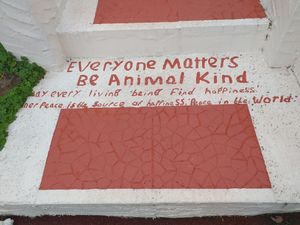  at Peasholm Park Vegan B&B in Scarborough