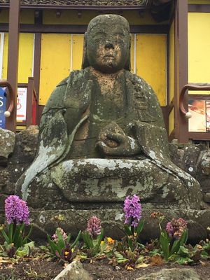 Peasholm Park at Peasholm Park Vegan B&B in Scarborough