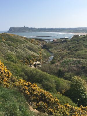 North Bay at Peasholm Park Vegan B&B in Scarborough