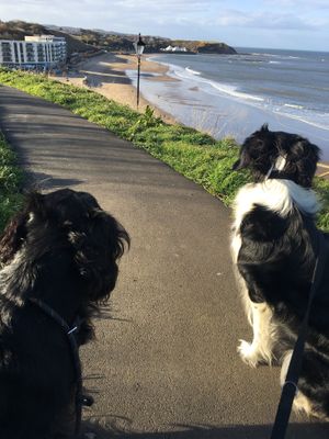 North Bay at Peasholm Park Vegan B&B in Scarborough