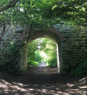 Cinder Track at Peasholm Park Vegan B&B in Scarborough