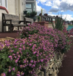 The Garden at Peasholm Park Vegan B&B in Scarborough