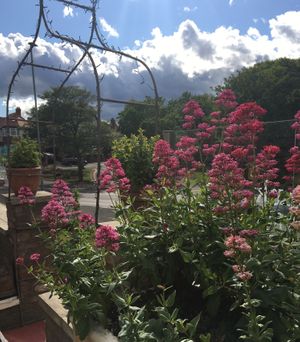 The Garden at Peasholm Park Vegan B&B in Scarborough