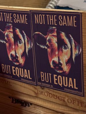   at Kuli Alma in Frankfurt