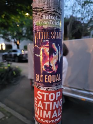 VEGAN ATTITUDE! at Kuli Alma in Frankfurt