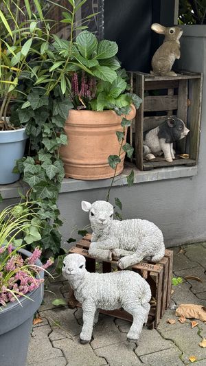   at Kuli Alma in Frankfurt