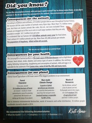 The message  at Kuli Alma in Frankfurt