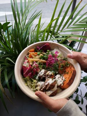 falafel bowl at Vegeta - Rue Saint-Augustin in Paris