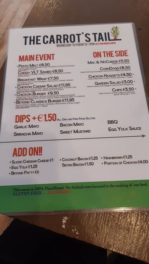 Food at The Carrot's Tail in Rathmines