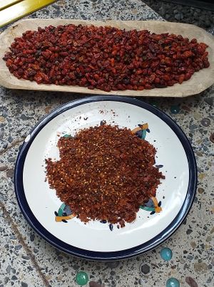 Cobanero chili.  Mayan Q'eqchi heritage.  at Xkape Kob'an in Coban