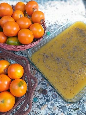 A treasure from our gardens... Naranjilla.  Try an unknown flavor at Xkape Kob'an in Coban