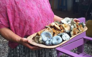 Healthy forestal systems provide us with natural and healthy foods at Xkape Kob'an in Coban