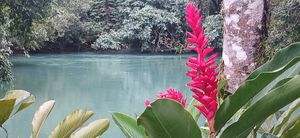 "Save water, save life"
March 22, World Water Day at Xkape Kob'an in Coban