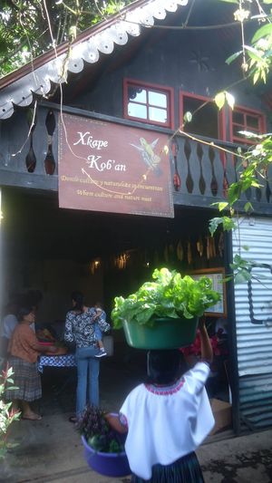  at Xkape Kob'an in Coban