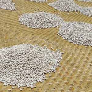  at Xkape Kob'an in Coban