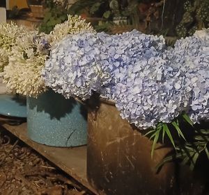  at Xkape Kob'an in Coban