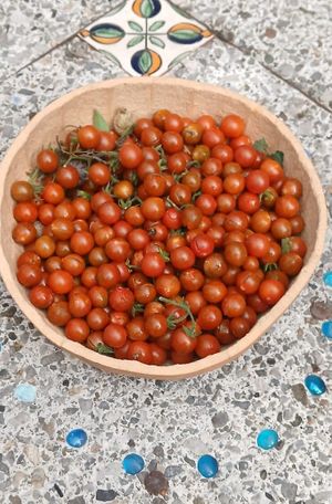  at Xkape Kob'an in Coban