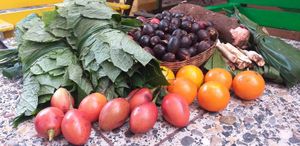 enjoying the fruits of our wonderful land at Xkape Kob'an in Coban