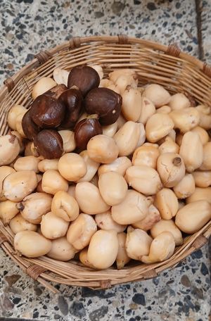 Castañas del trópico at Xkape Kob'an in Coban