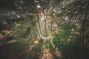 Reconnection to Nature
Resting
Contemplation at Chival in Villars