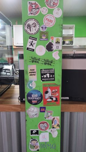  at Guacamole in Montevideo