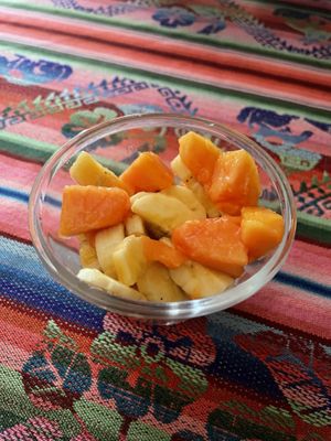 Fruit cup for dessert - asked for no yoghurt  at El Germen in Sucre