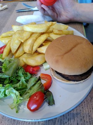 Burger, chips and salad (June 2024) at Dragonfly Bistro in Aberystwyth