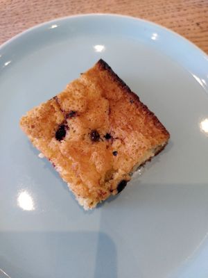 Dark chocolate chip brownie (June 2024) at Dragonfly Bistro in Aberystwyth