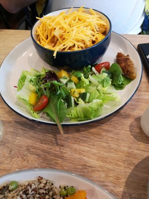 GF pasta ragu with salad at Dragonfly Bistro in Aberystwyth