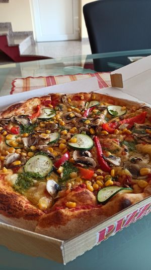 Gaja at Park Seventeen in Ilirska Bistrica