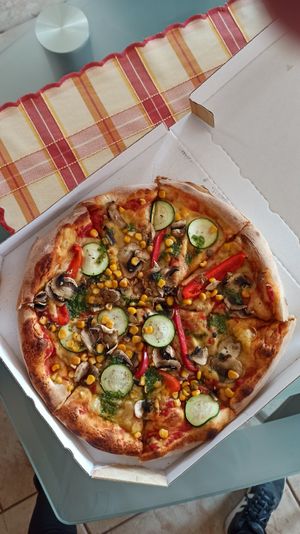 Gaja at Park Seventeen in Ilirska Bistrica