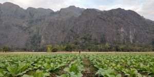  at Kong Lor Eco Lodge in Konglor