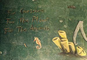 Plant-based mission at Cafe Tropics in San Diego