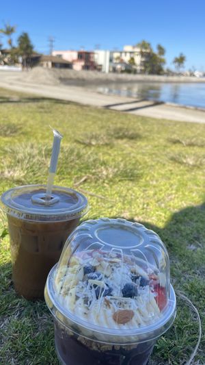  #Veganuary at Cafe Tropics in San Diego