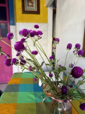   at La Vegana Garnacha in Guadalajara