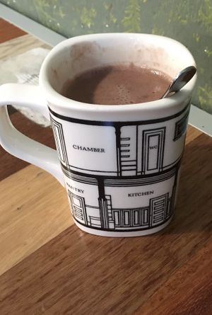 Vega hot chocolate at The Coffee Box in Padua