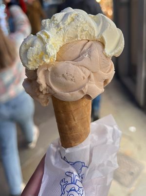   at Gelato Fantasy in Venice