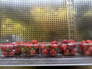 fruit  at Gelato Fantasy in Venice