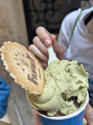 pistachio and dark chocolate vegan gelato   at Gelato Fantasy in Venice