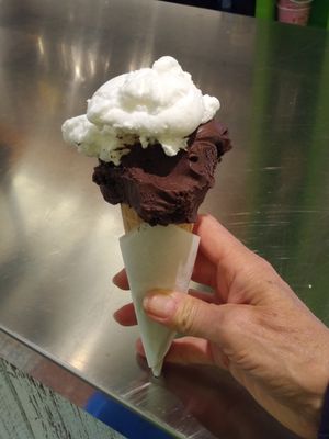 Dark chocolate and coconut vegan gelato at Gelato Fantasy in Venice