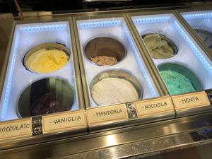 Vegan options  at Gelato Fantasy in Venice