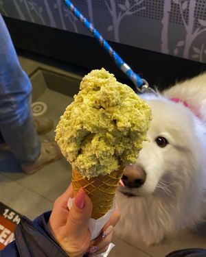   at Tanu in Vina Del Mar