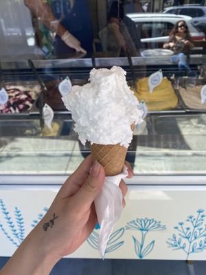   at Tanu in Vina Del Mar