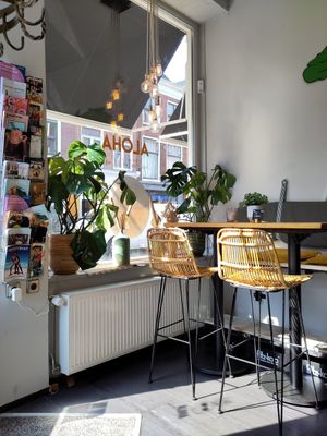 Plants! at Aloha in Leiden