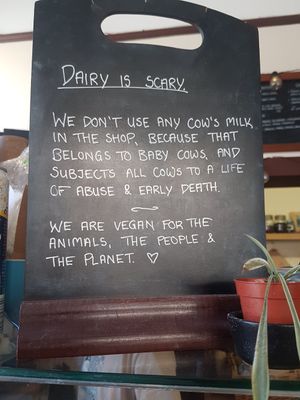  at Chapter One Coffee Shop in Edinburgh