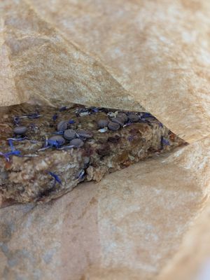  at Chapter One Coffee Shop in Edinburgh