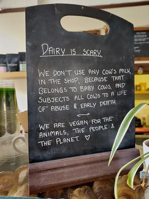  at Chapter One Coffee Shop in Edinburgh