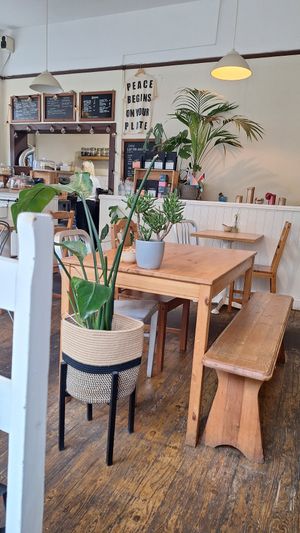 Cosy at Chapter One Coffee Shop in Edinburgh