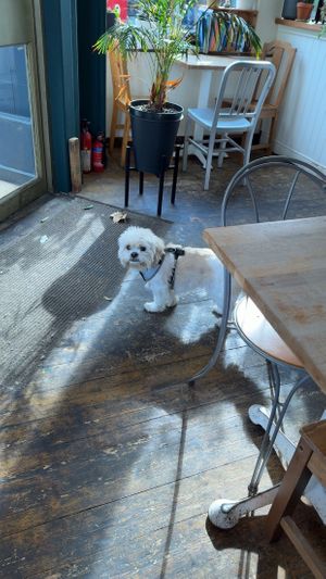   at Chapter One Coffee Shop in Edinburgh