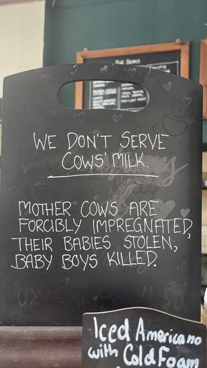 ❤️❤️❤️  at Chapter One Coffee Shop in Edinburgh